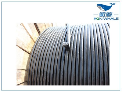 鄭州電纜廠家：什么是RVS電纜？