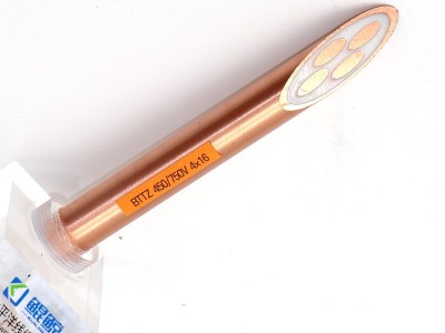 bttz電纜有五芯的嗎？