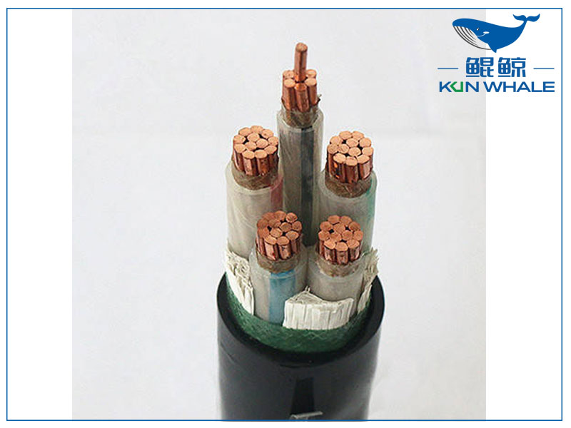 鄭州電纜廠帶你了解wdz—yje是什么電纜？