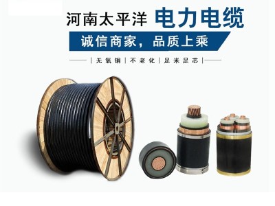 電力電纜品牌 電力電纜廠家直銷(xiāo)