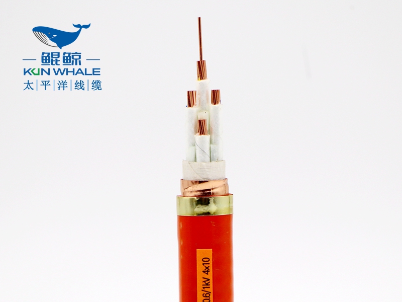 電線(xiàn)電纜廠(chǎng)家淺談什么叫BTTRZ電纜YTTW電纜型號(hào)是什么？